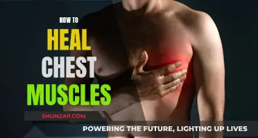 Healing Your Chest Muscles: A Comprehensive Guide