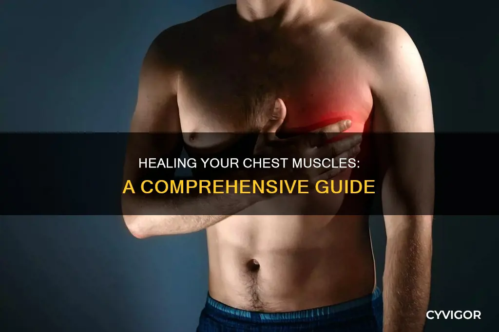 how to heal chest muscles
