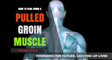 Effective Recovery Tips for Healing a Pulled Groin Muscle Fast