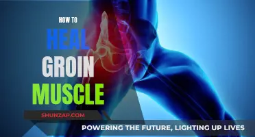 Healing Groin Muscle Strains: A Comprehensive Guide