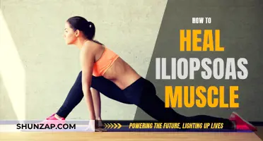 Healing Your Iliopsoas: A Guide to Muscle Recovery