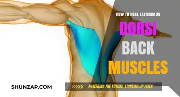 Effective Ways to Heal Your Latissimus Dorsi Back Muscles