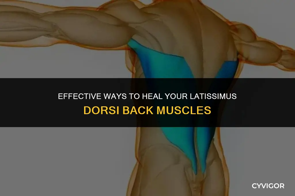how to heal latissimus dorsi back muscles