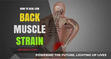 Effective Ways to Heal Low Back Muscle Strain