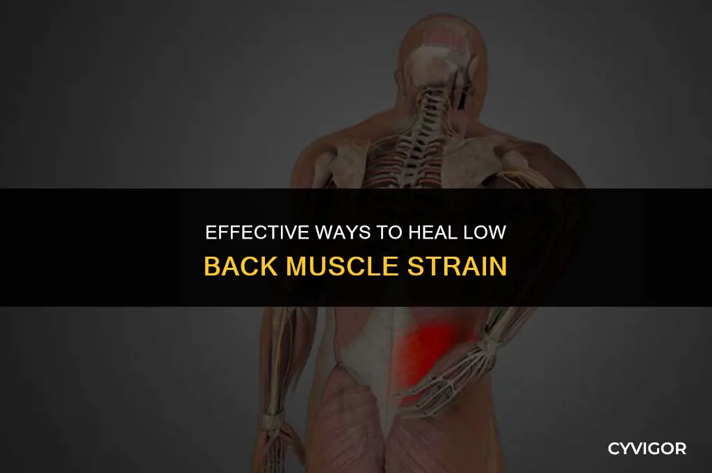 how to heal low back muscle strain