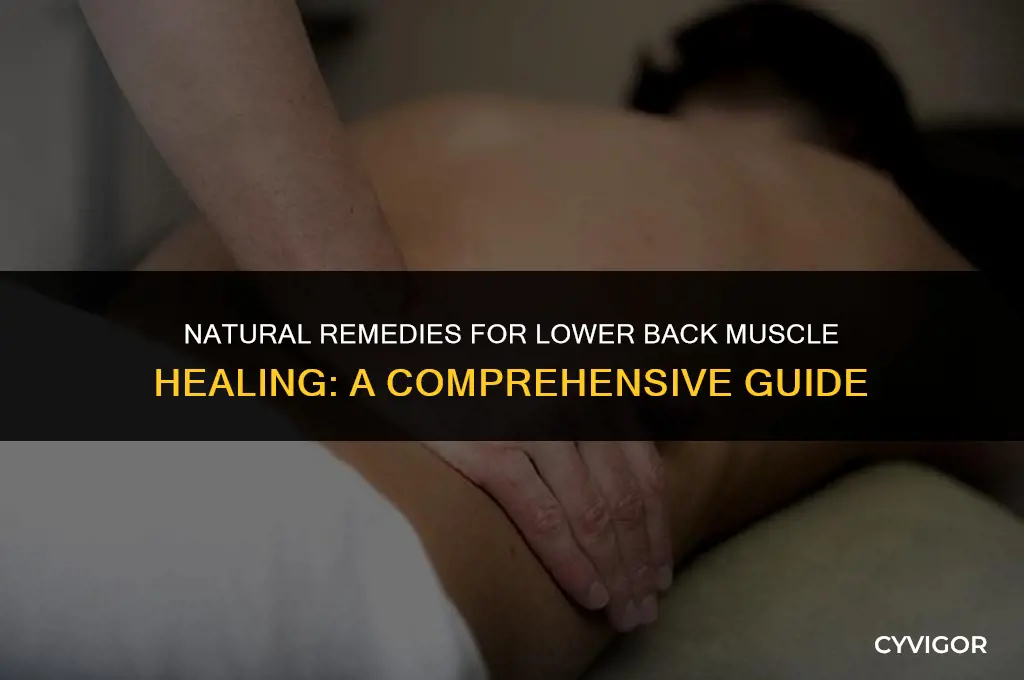 how to heal lower back muscle naturally