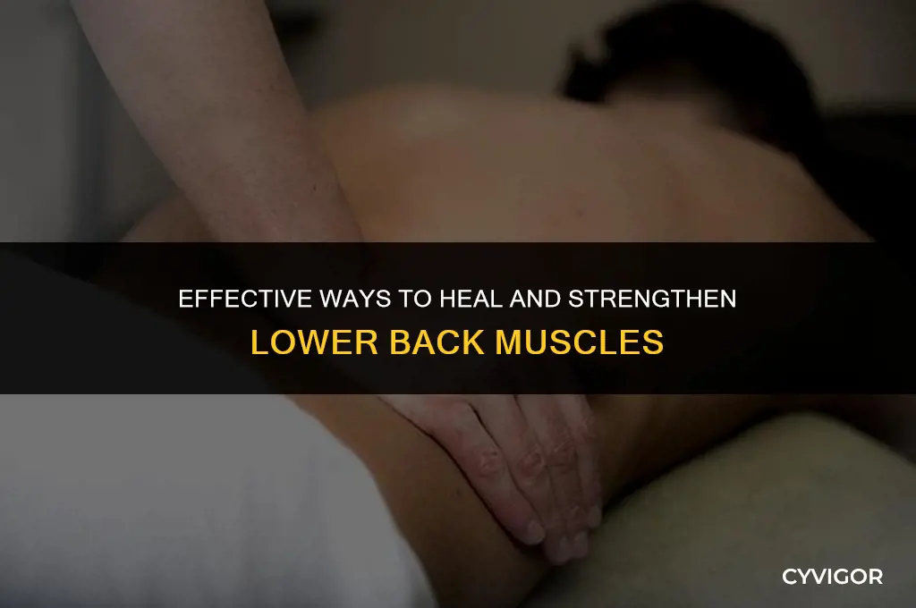 how to heal lower back muscles