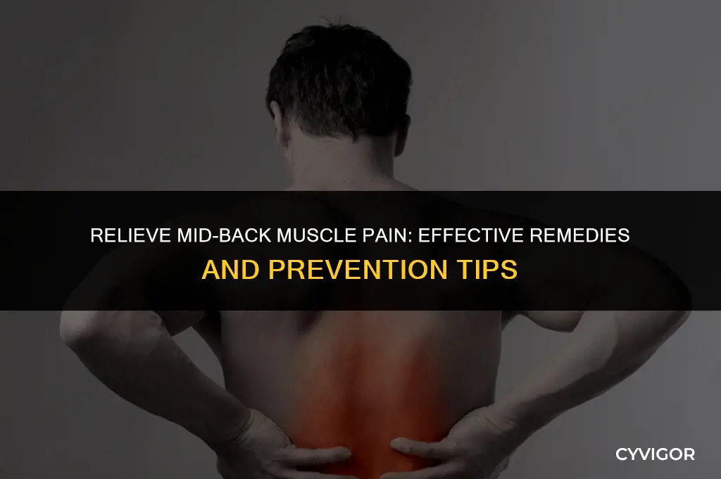how to heal mid back muscle pain