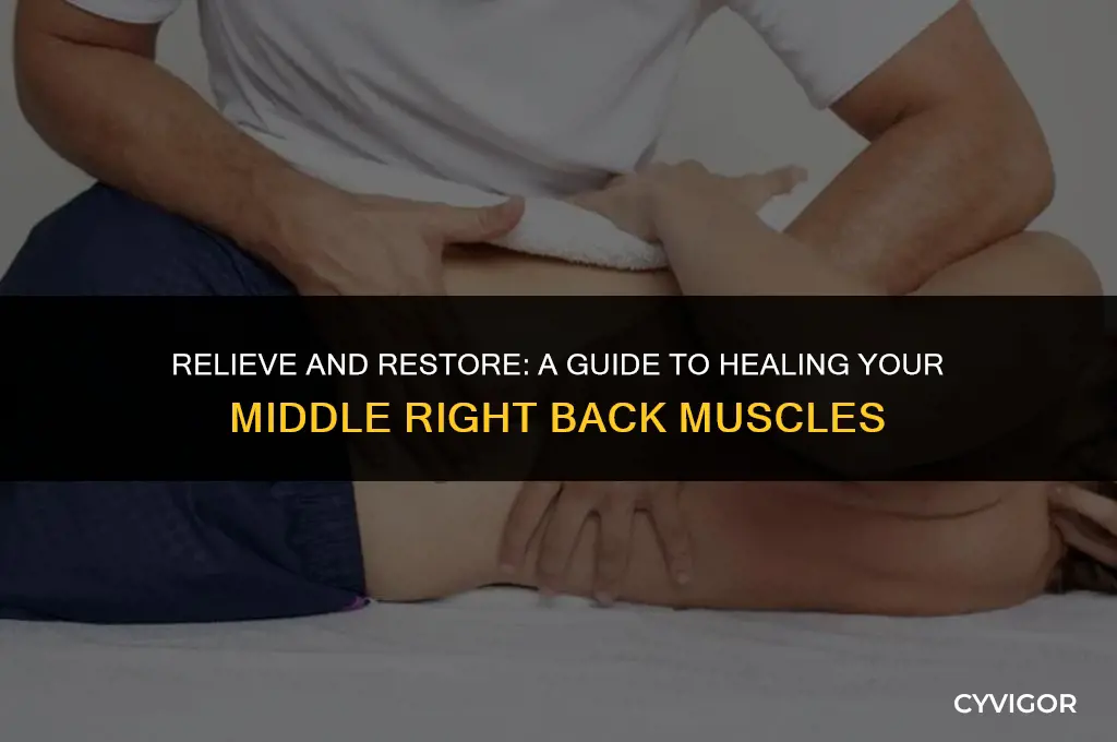how to heal middle right back muscles