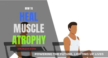 Healing Muscle Atrophy: Strategies for Regaining Strength