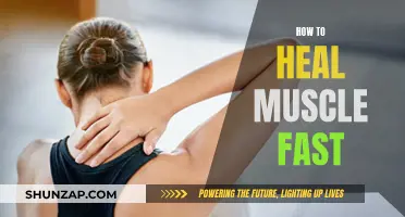 Healing Muscles: Rapid Recovery Techniques for Quick Results