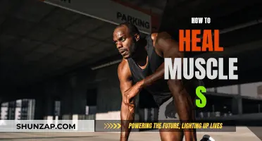 Heal Your Muscles: Tips for Quick and Effective Recovery