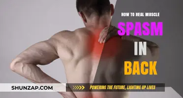 Relieve Back Muscle Spasms: Effective Remedies and Prevention Tips