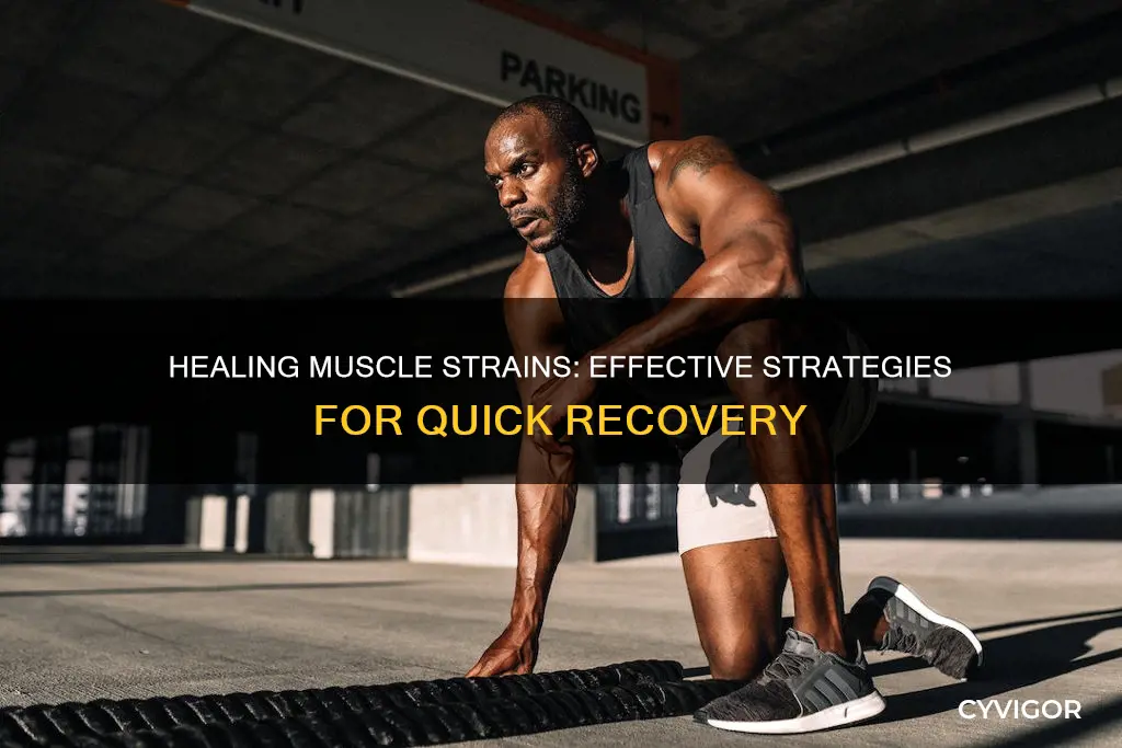 how to heal muscle st