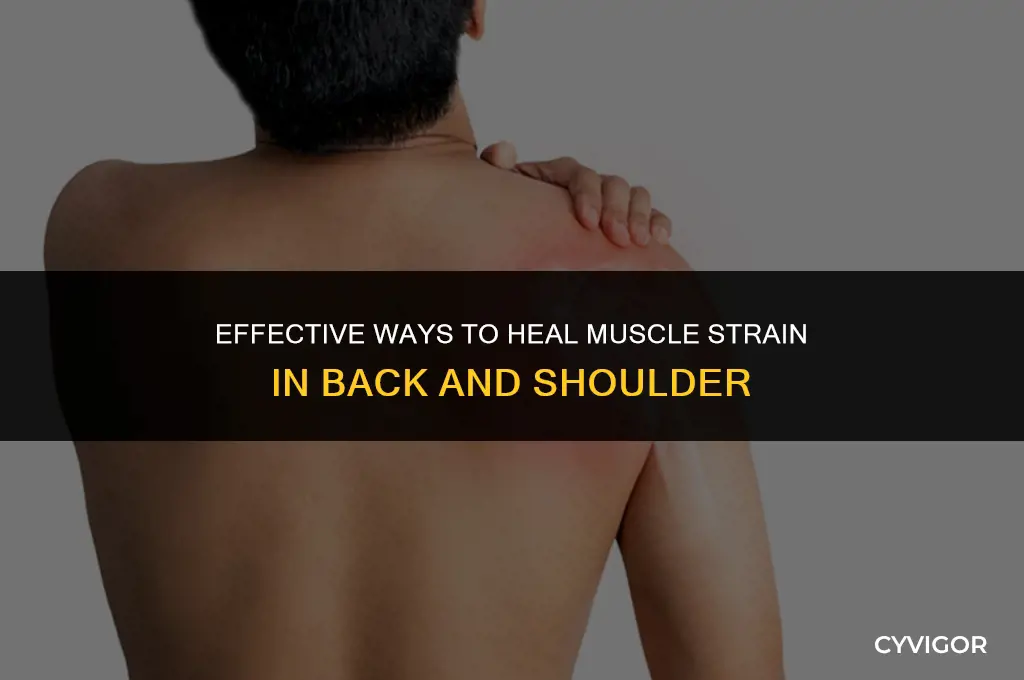 how to heal muscle strain in back and shoulder