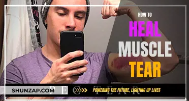 Healing Muscle Tears: Effective Strategies for Quick Recovery