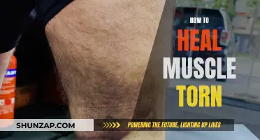 Healing Muscle Tears: Effective Strategies for Quick Recovery