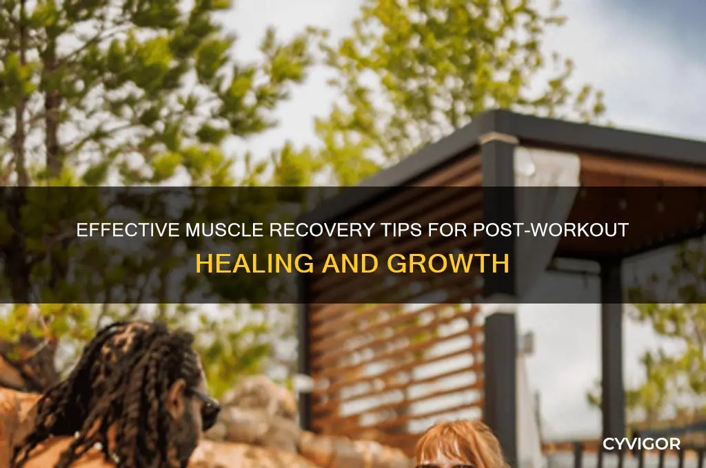 how to heal muscles after working out