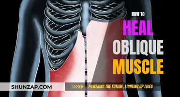 Healing Oblique Muscle Strains: A Comprehensive Guide