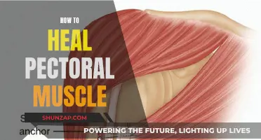 Healing Your Pectoral Muscle: A Comprehensive Guide