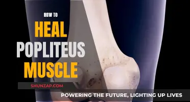 Healing Your Popliteus Muscle: A Comprehensive Guide