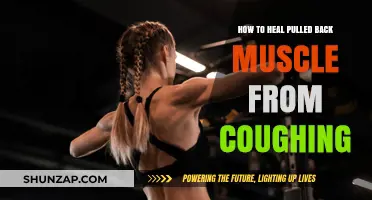 Heal Your Pulled Back Muscle from Coughing: Effective Recovery Tips