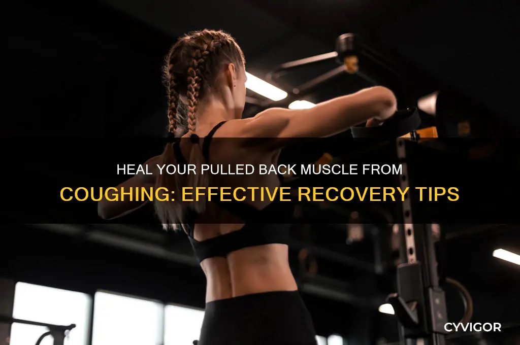 how to heal pulled back muscle from coughing