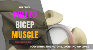 Effective Healing Strategies for Pulled Bicep Muscle Recovery
