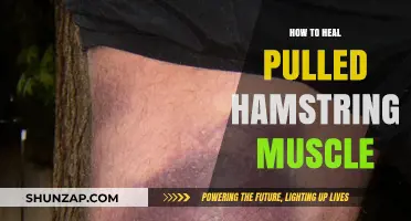 Effective Healing Strategies for Pulled Hamstring Muscle Recovery and Relief