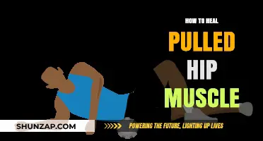 Effective Healing Strategies for Pulled Hip Muscles: Recovery Tips and Exercises