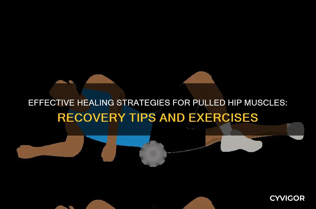 how to heal pulled hip muscle