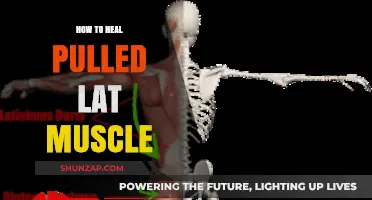 Effective Healing Strategies for a Pulled Lat Muscle Recovery