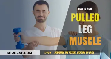 Effective Healing Strategies for Pulled Leg Muscles: Recovery Tips and Techniques