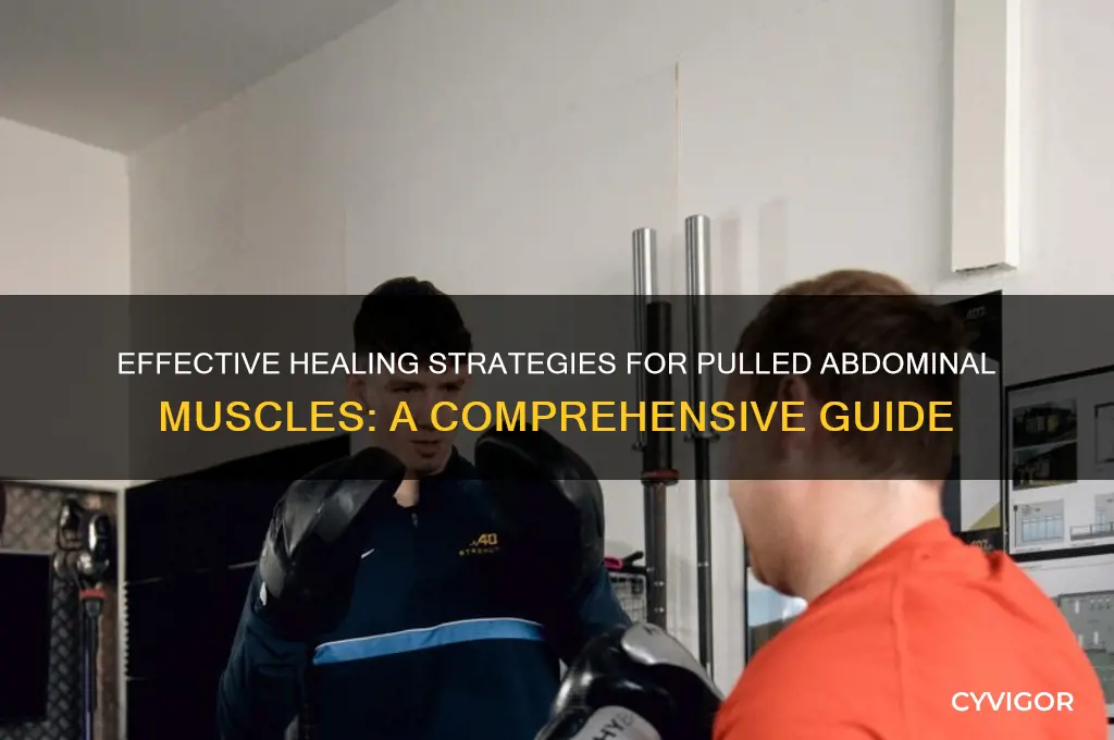 how to heal pulled muscle in abdomen