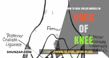 Effective Healing Strategies for Pulled Muscles in the Back of the Knee