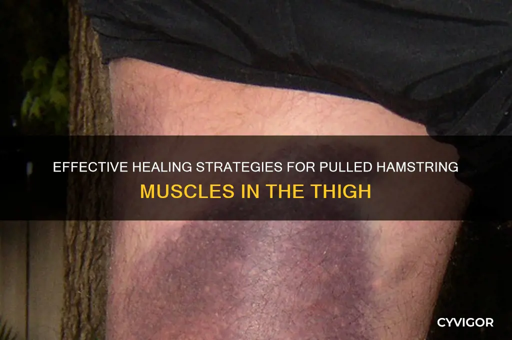 how to heal pulled muscle in back of theigh
