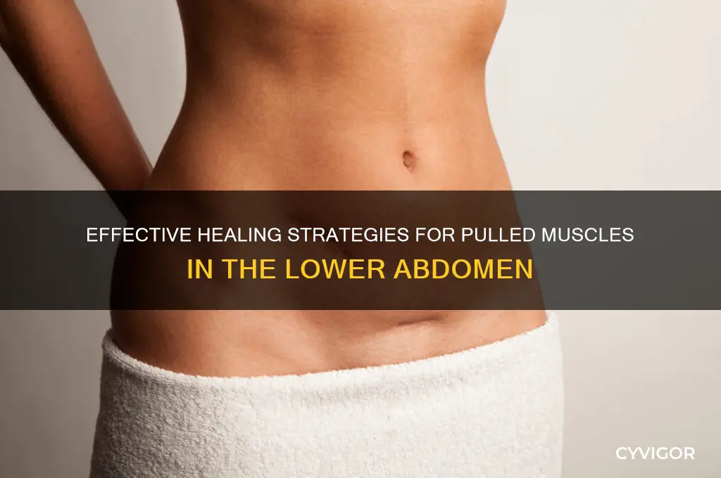 how to heal pulled muscle in labdomen