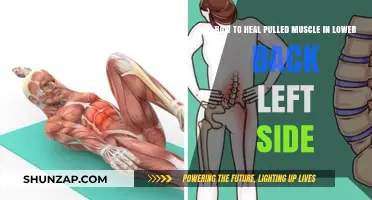 Effective Healing Tips for Pulled Lower Back Left Side Muscles
