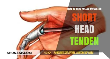 Effective Healing Strategies for Pulled Short Head Tendon Muscle Recovery