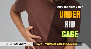 Healing a Pulled Muscle Under Rib Cage: Effective Recovery Tips