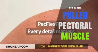 Effective Healing Strategies for Pulled Pectoral Muscles: Recovery Guide