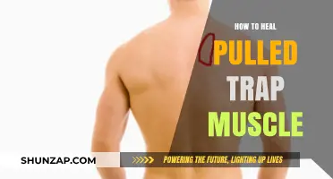 Effective Healing Strategies for a Pulled Trap Muscle Recovery