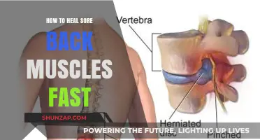 Quick Relief: Effective Ways to Heal Sore Back Muscles Fast