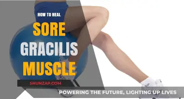Effective Healing Strategies for Sore Gracilis Muscle Relief and Recovery