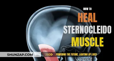 Healing Your Sternocleidomastoid: Techniques for Muscle Recovery