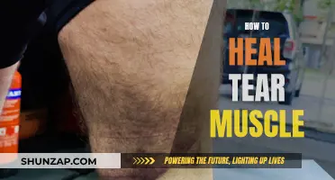 Healing a Torn Muscle: Effective Strategies and Techniques