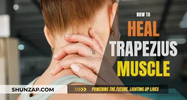 Healing Trapezius Muscle: Simple Techniques for Quick Recovery