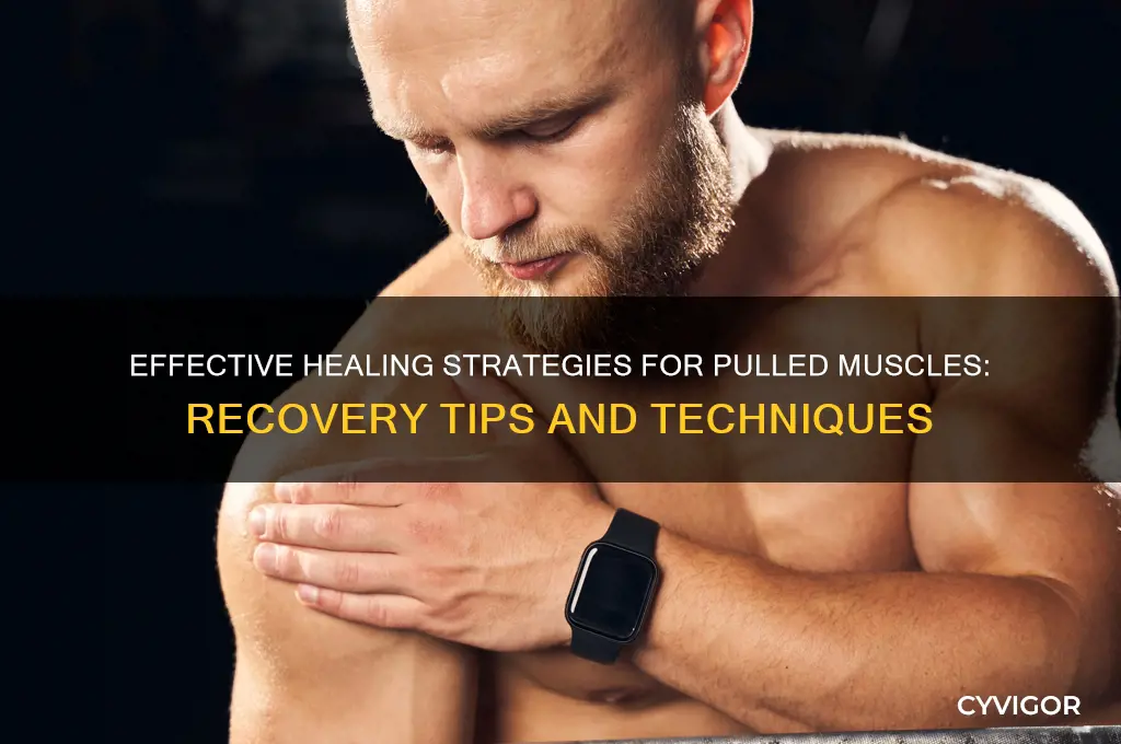 how to heel a pulled muscle