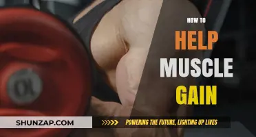 Effective Strategies for Maximizing Muscle Gain and Strength