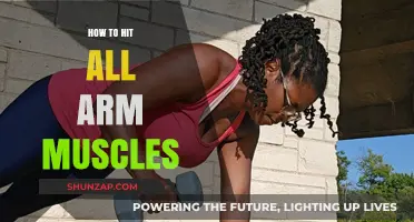 Effective Arm Workout: Targeting Biceps, Triceps, and Forearms for Maximum Growth